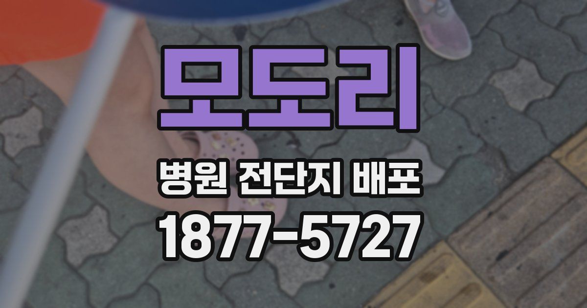 모도리 병원 전단지 배포