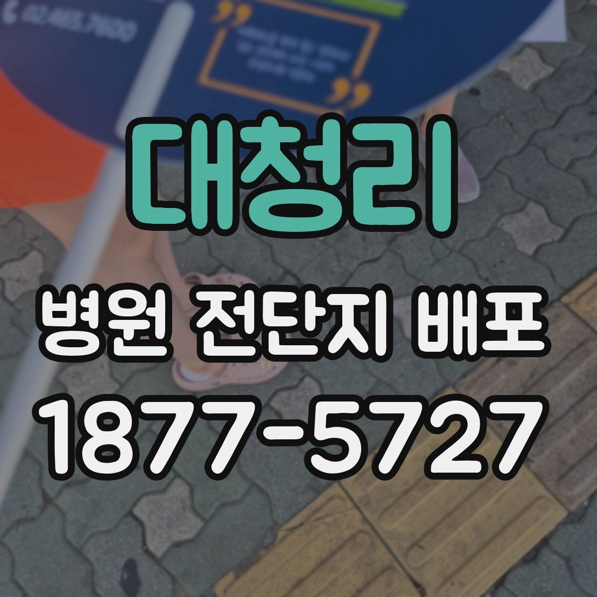 대청리 병원 전단지 배포