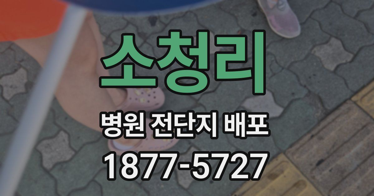 소청리 병원 전단지 배포