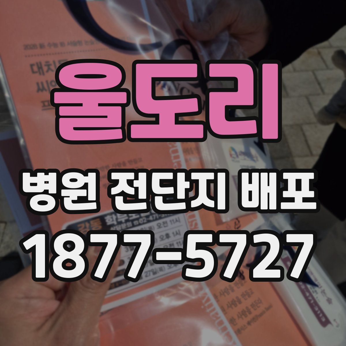울도리 병원 전단지 배포