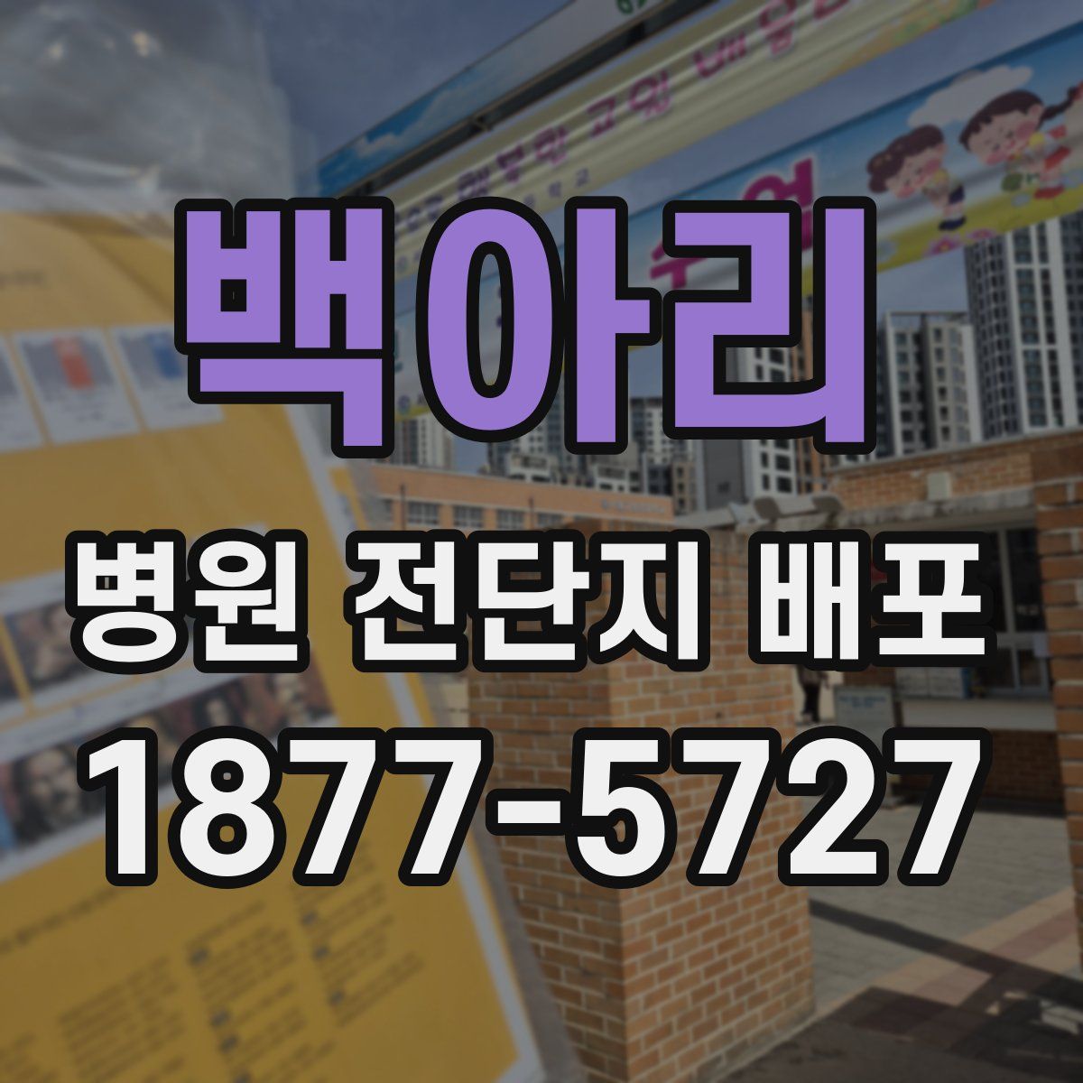 백아리 병원 전단지 배포