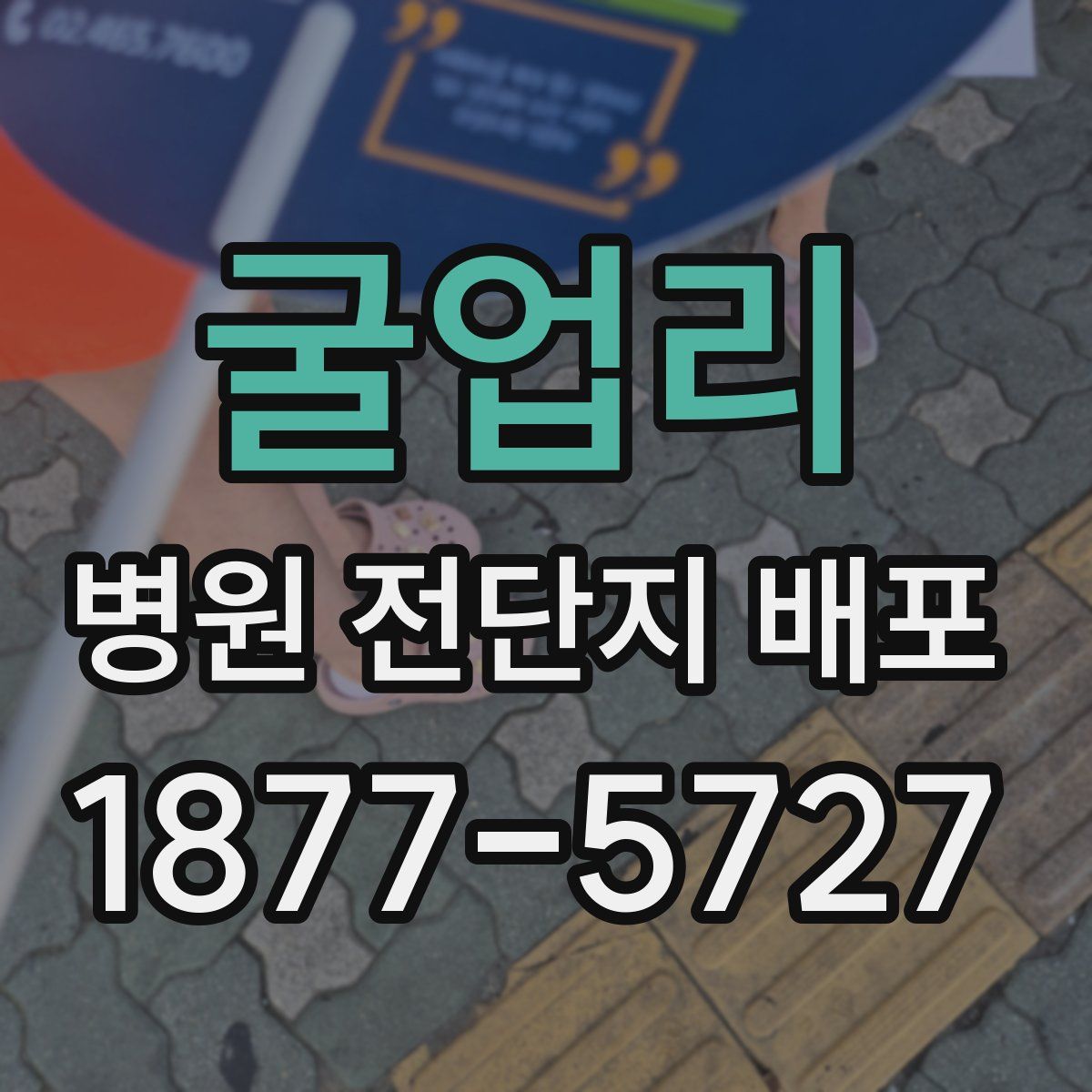 굴업리 병원 전단지 배포