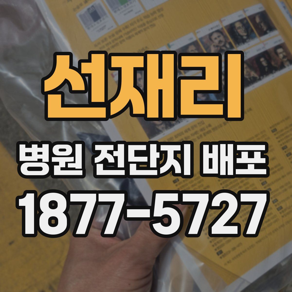 선재리 병원 전단지 배포