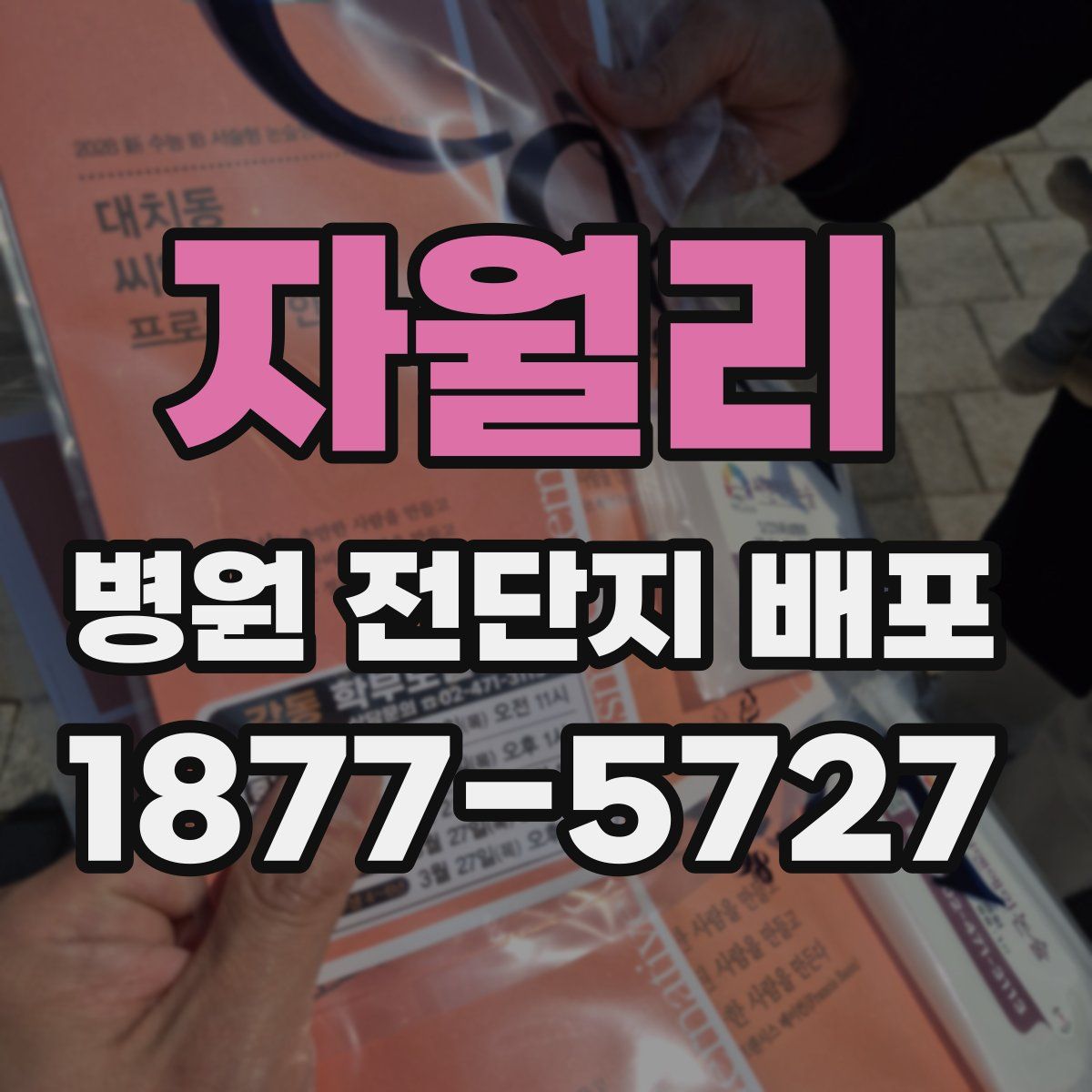 자월리 병원 전단지 배포