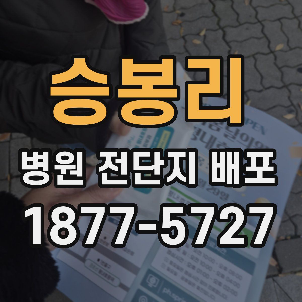 승봉리 병원 전단지 배포