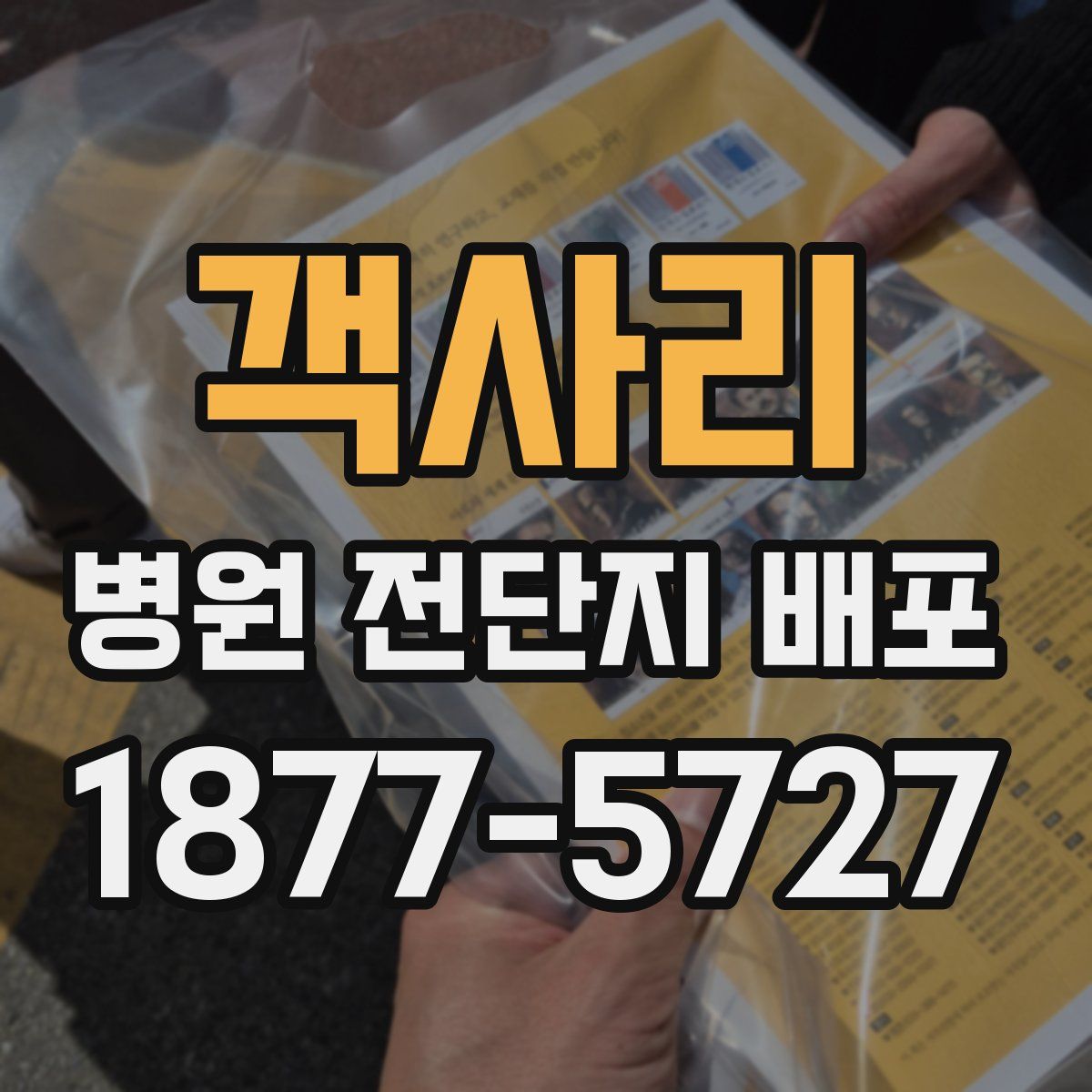 객사리 병원 전단지 배포