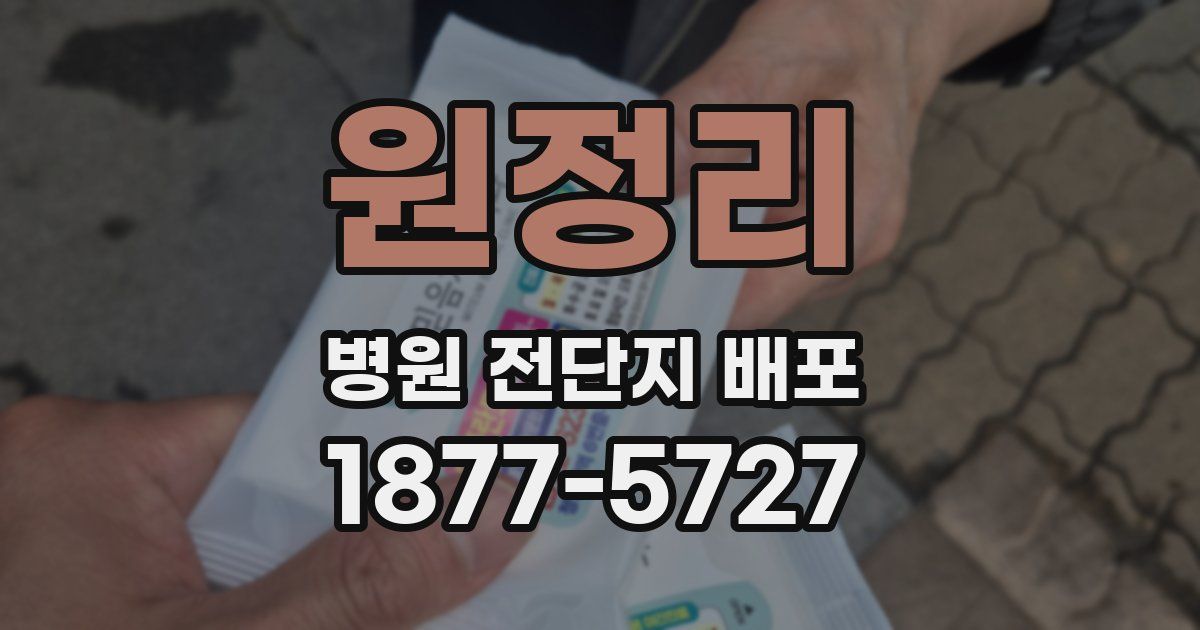 원정리 병원 전단지 배포