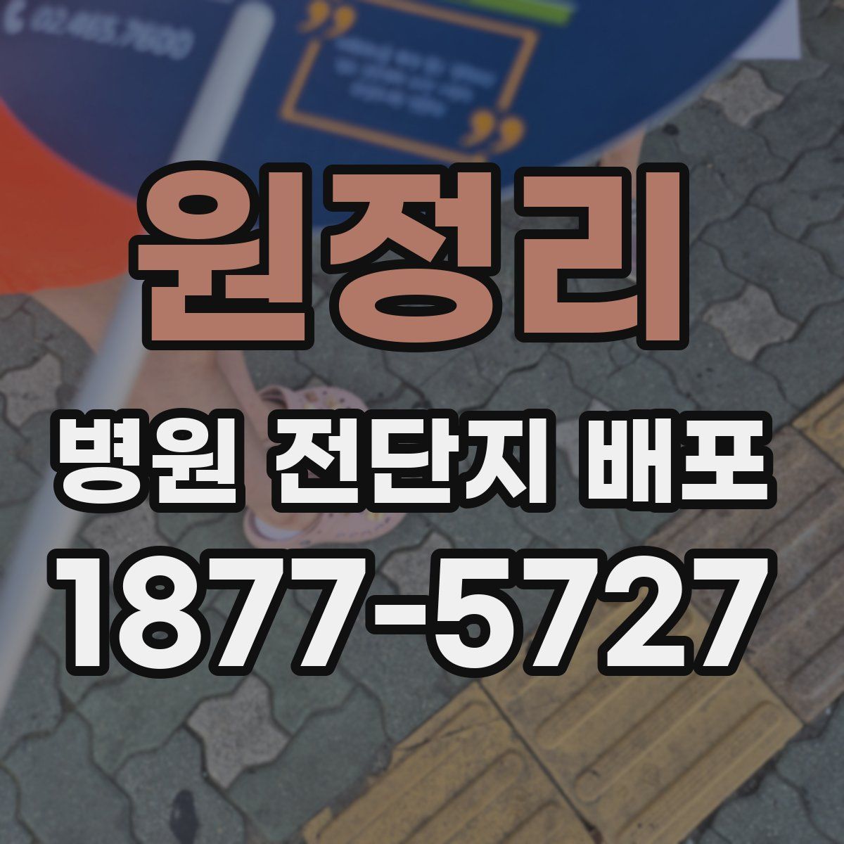 원정리 병원 전단지 배포