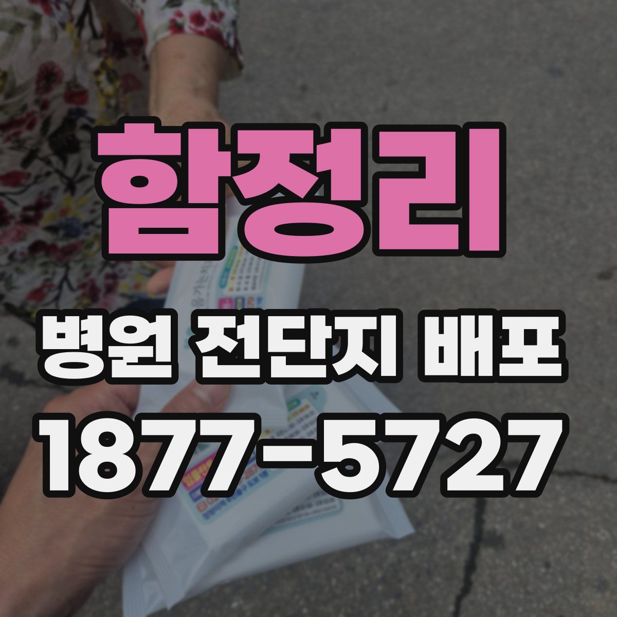 함정리 병원 전단지 배포