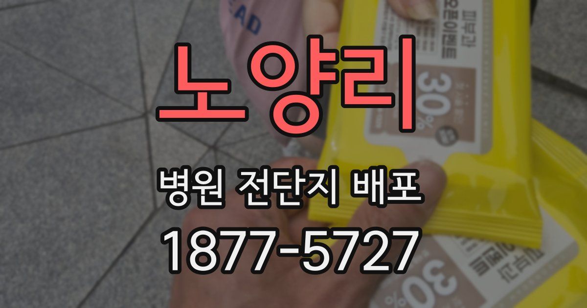 노양리 병원 전단지 배포