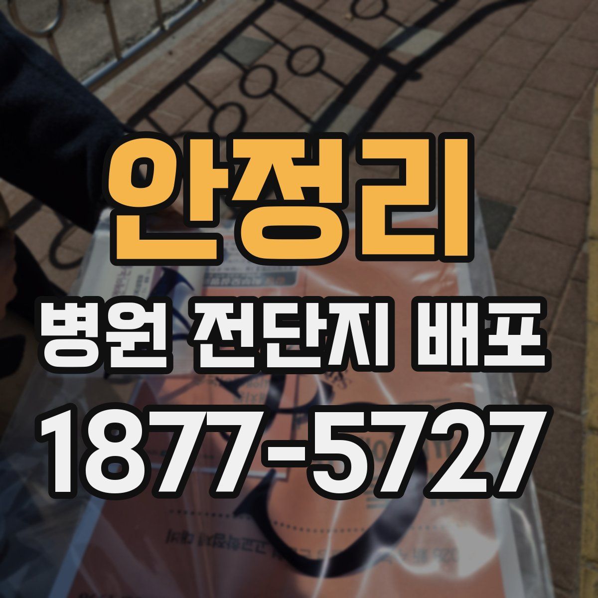 안정리 병원 전단지 배포