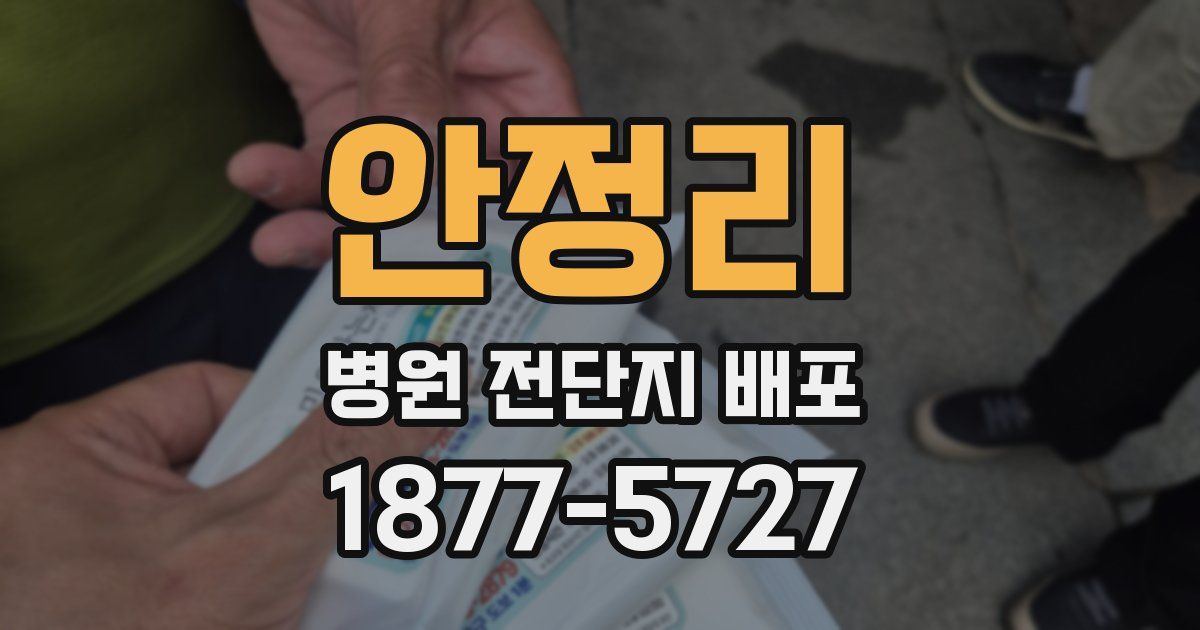 안정리 병원 전단지 배포