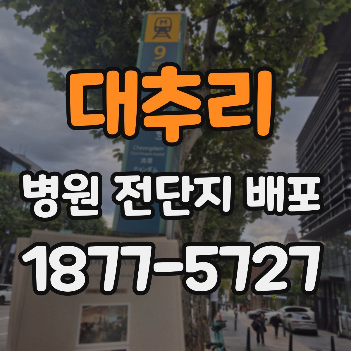 대추리 병원 전단지 배포