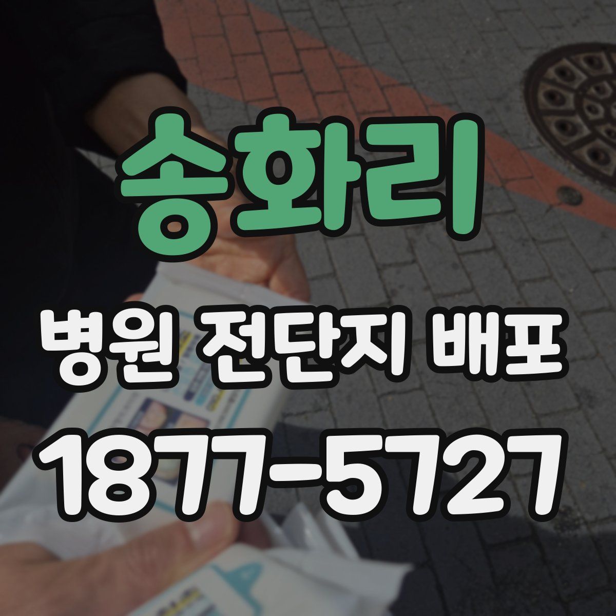 송화리 병원 전단지 배포