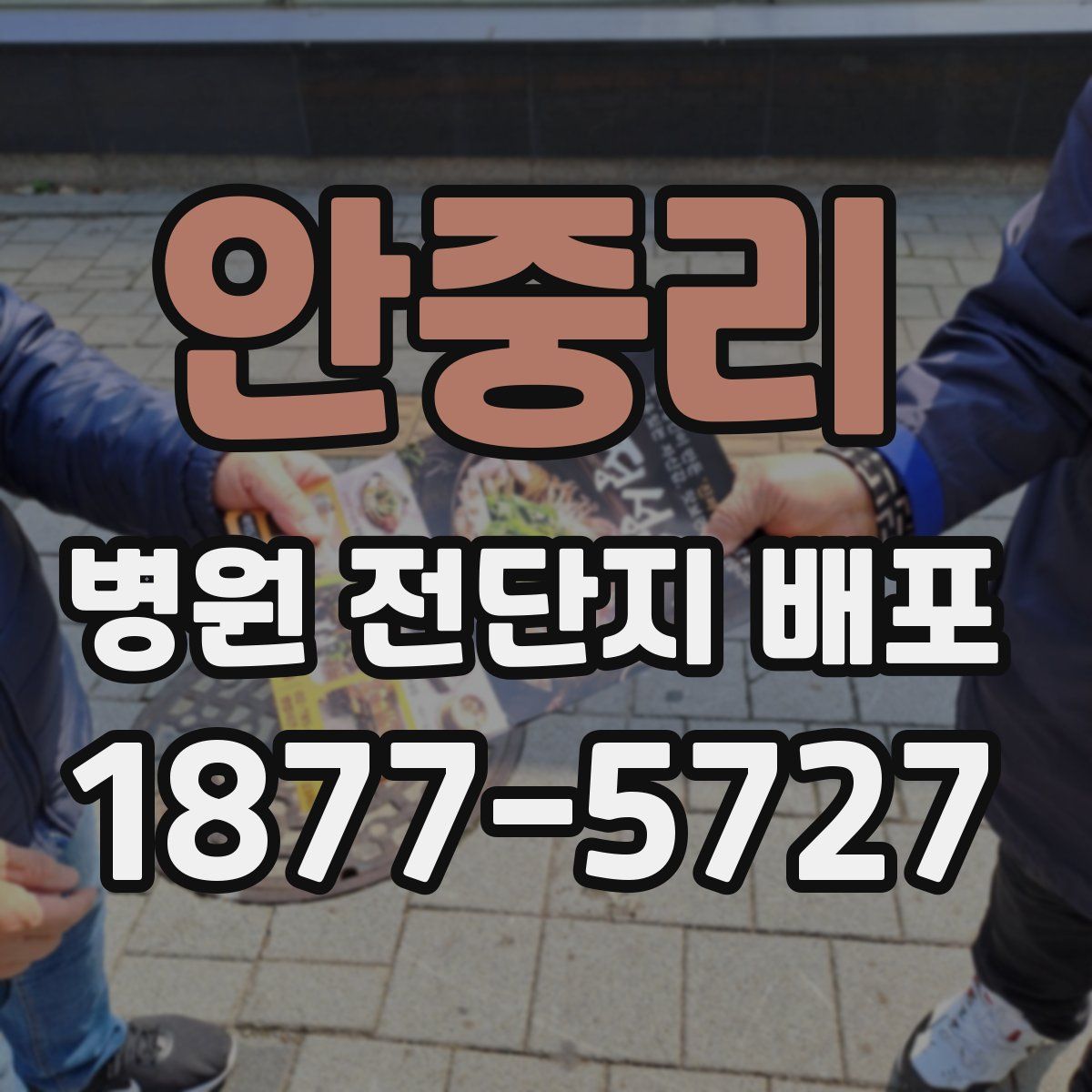안중리 병원 전단지 배포