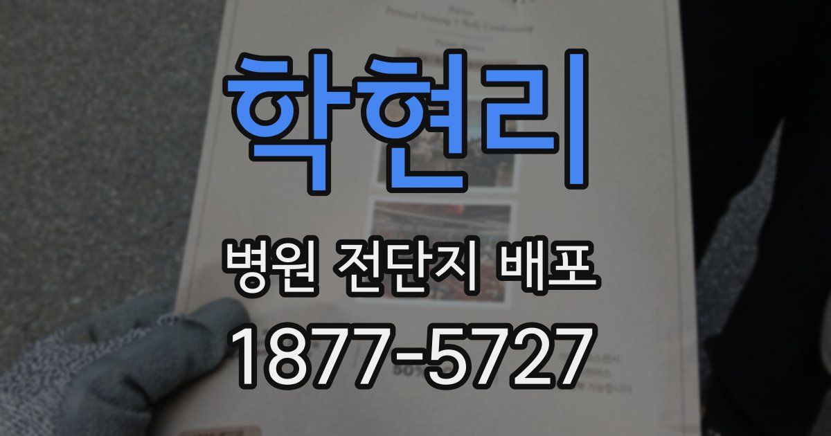 학현리 병원 전단지 배포