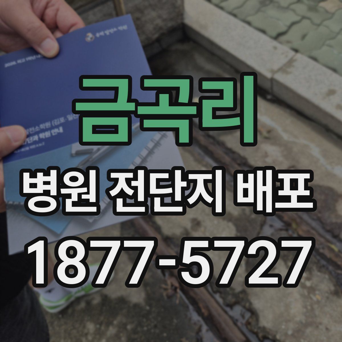 금곡리 병원 전단지 배포