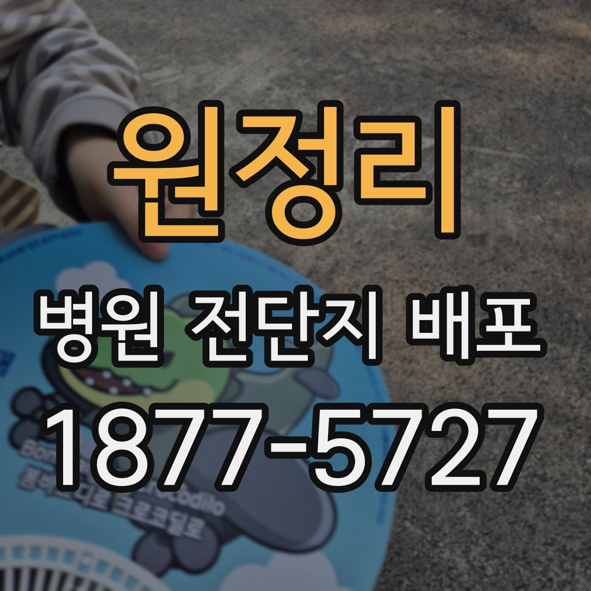원정리 병원 전단지 배포