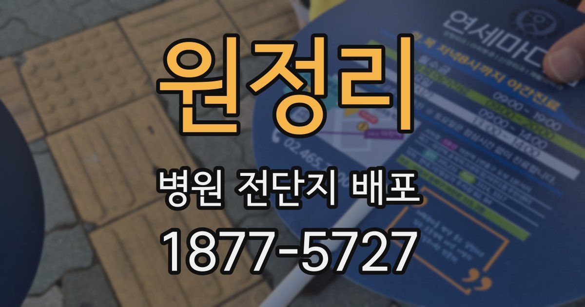 원정리 병원 전단지 배포