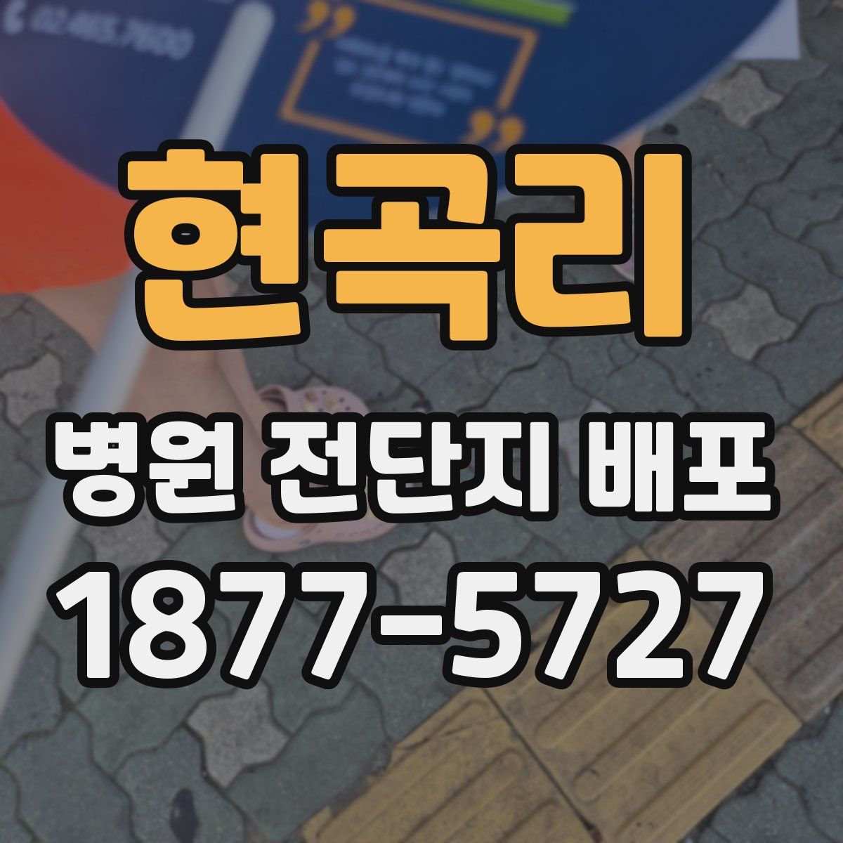 현곡리 병원 전단지 배포