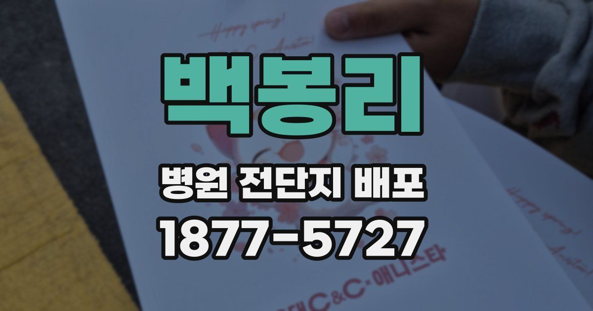 백봉리 병원 전단지 배포