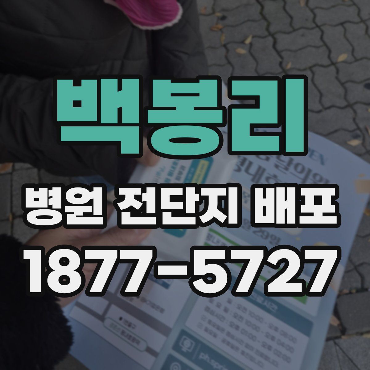 백봉리 병원 전단지 배포