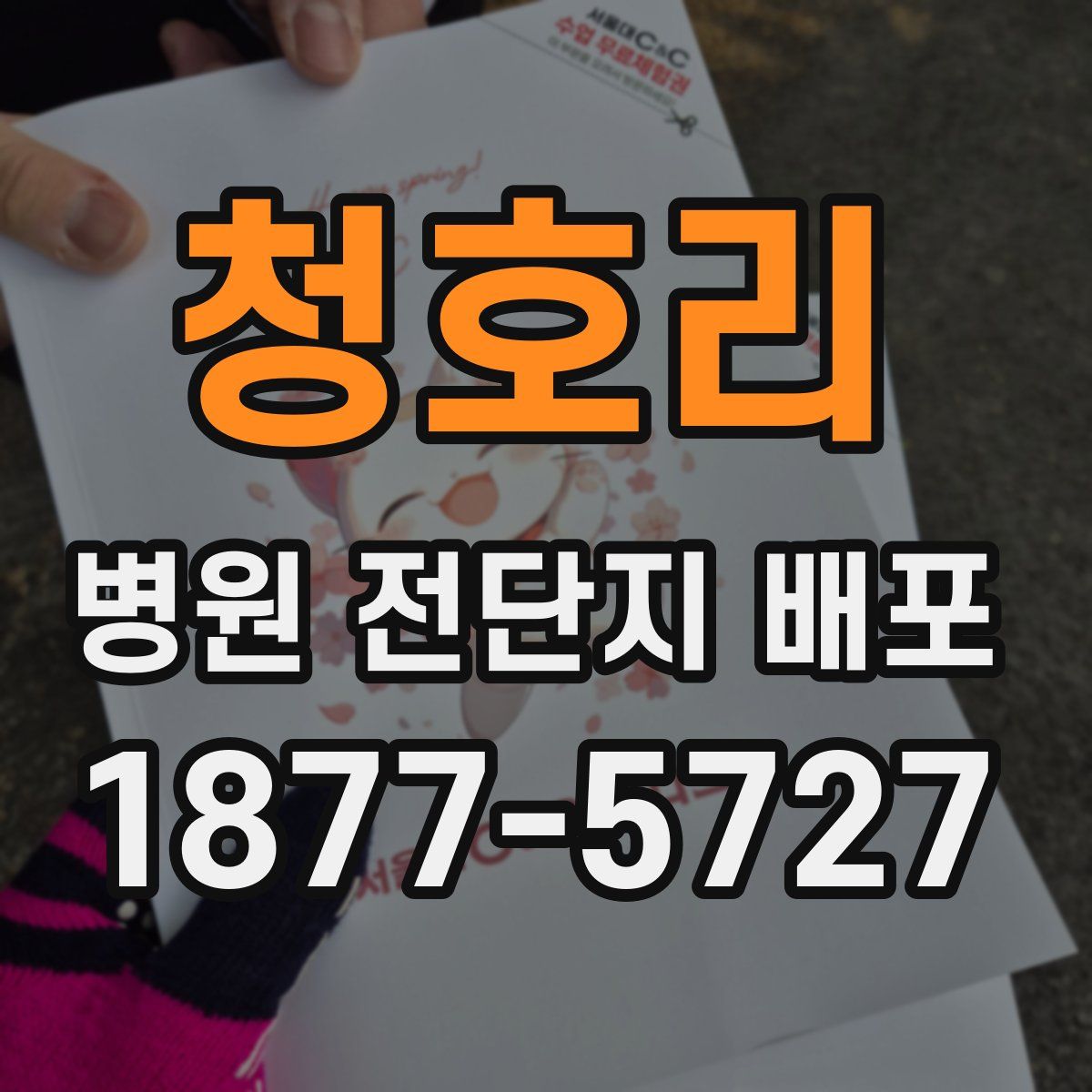 청호리 병원 전단지 배포