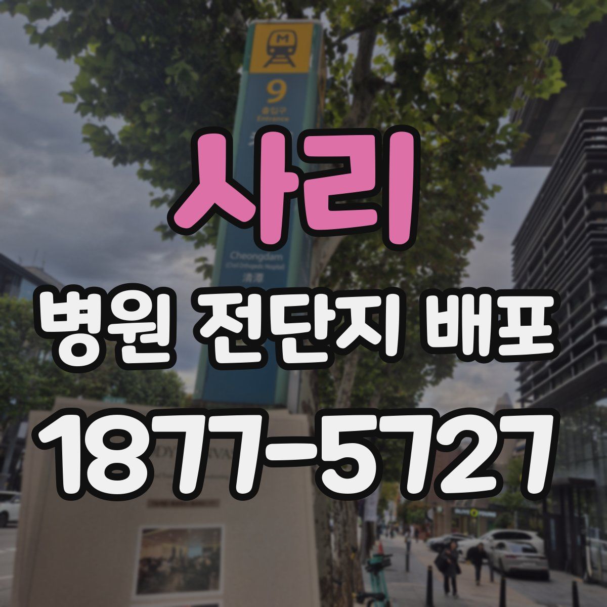 사리 병원 전단지 배포