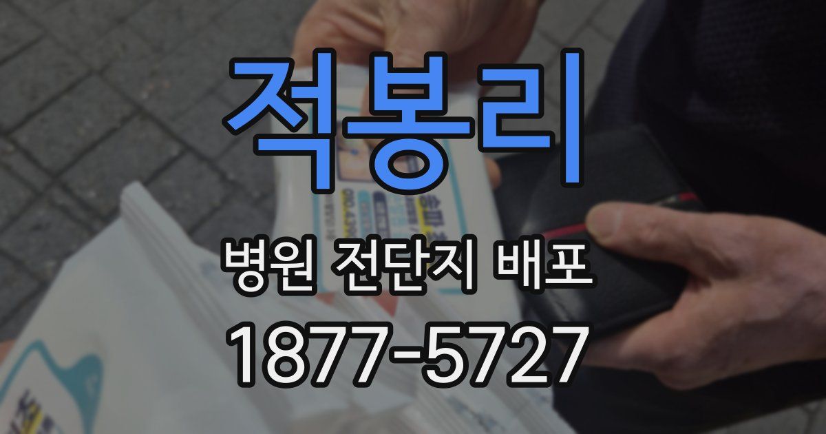 적봉리 병원 전단지 배포