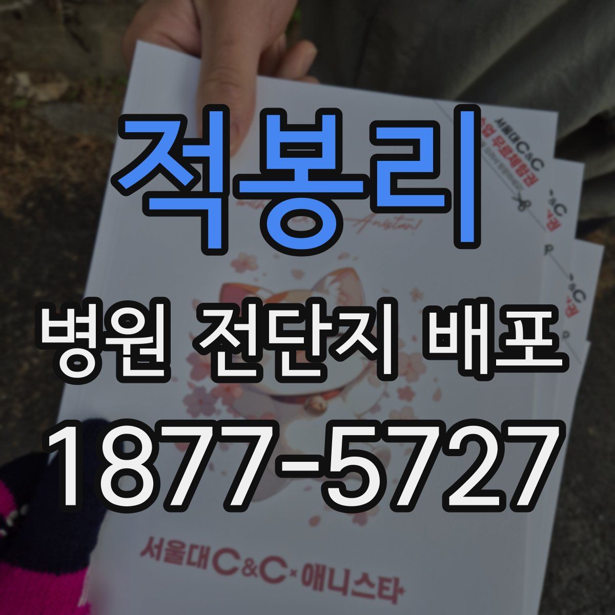 적봉리 병원 전단지 배포