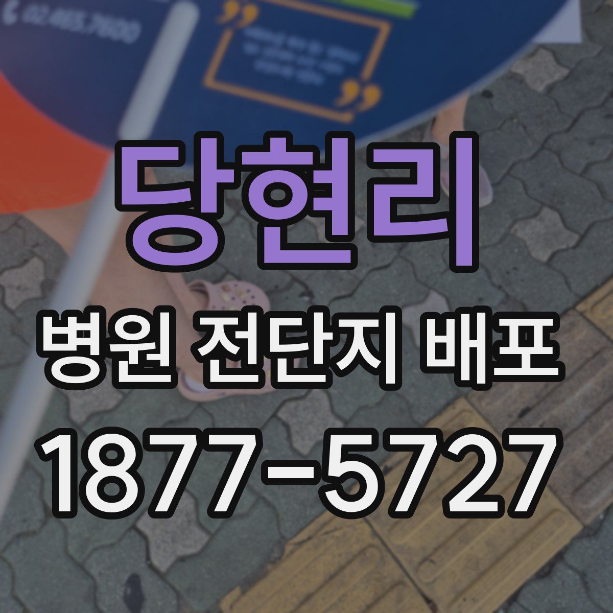 당현리 병원 전단지 배포