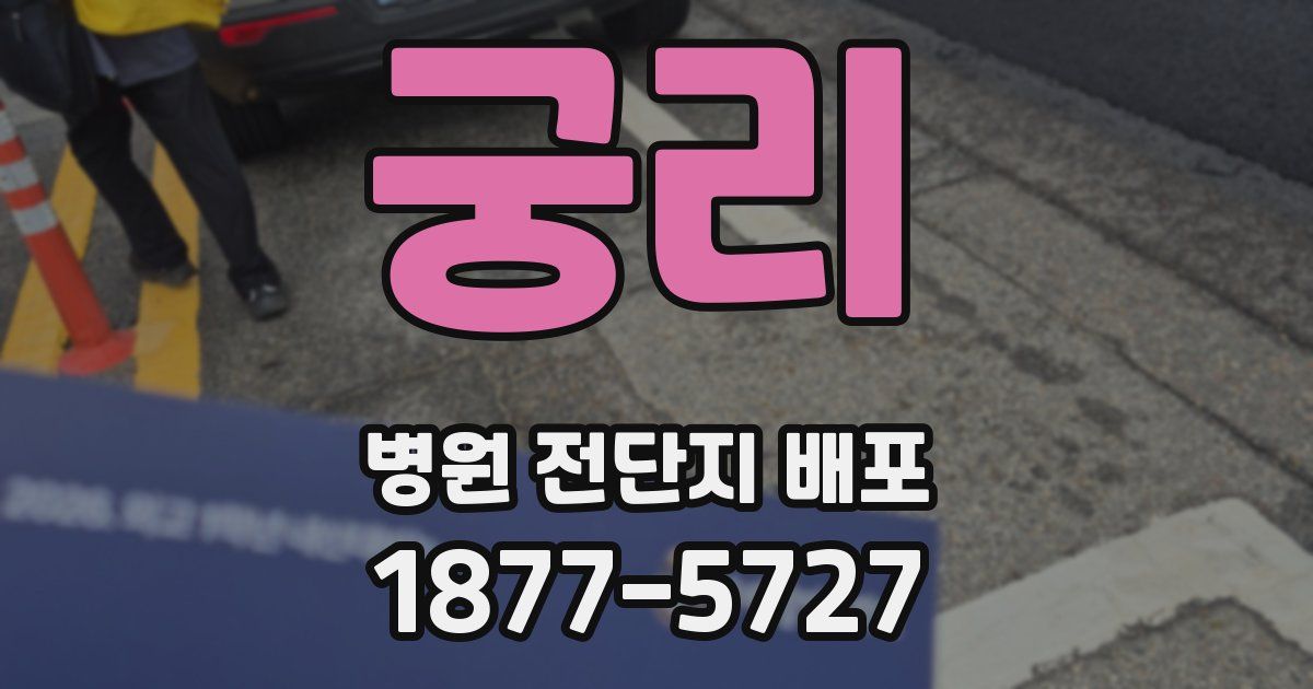 궁리 병원 전단지 배포