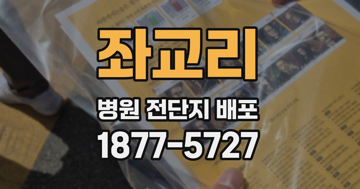 좌교리 병원 전단지 배포