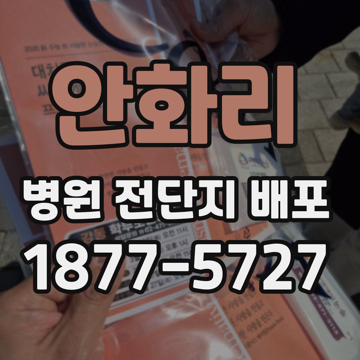안화리 병원 전단지 배포