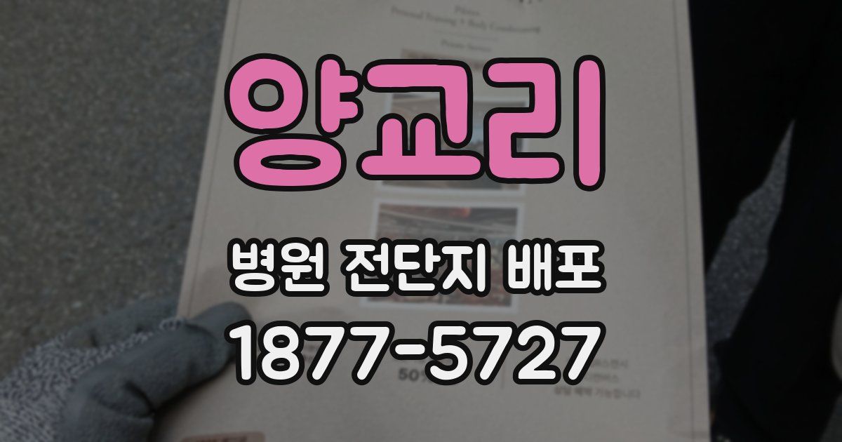 양교리 병원 전단지 배포
