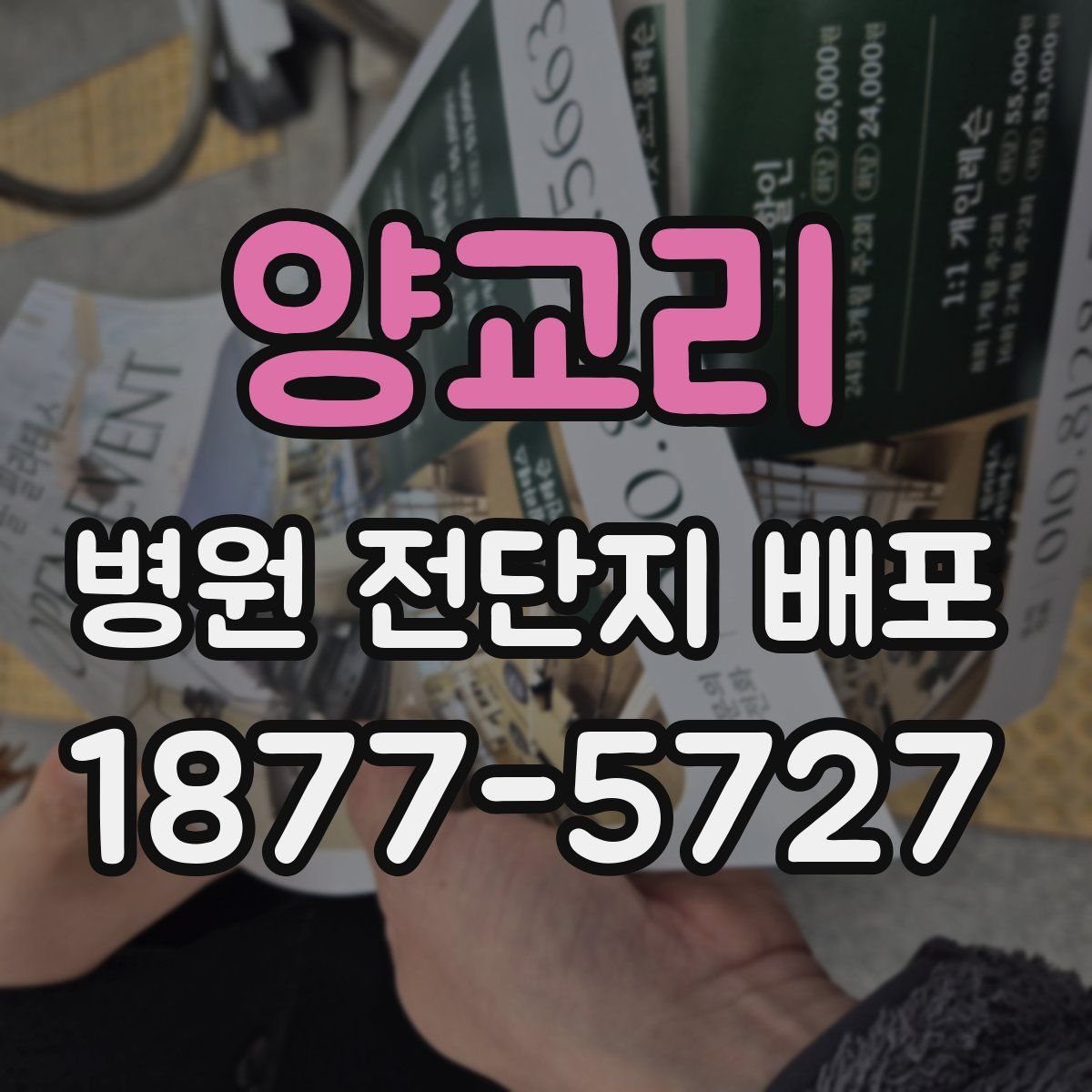 양교리 병원 전단지 배포