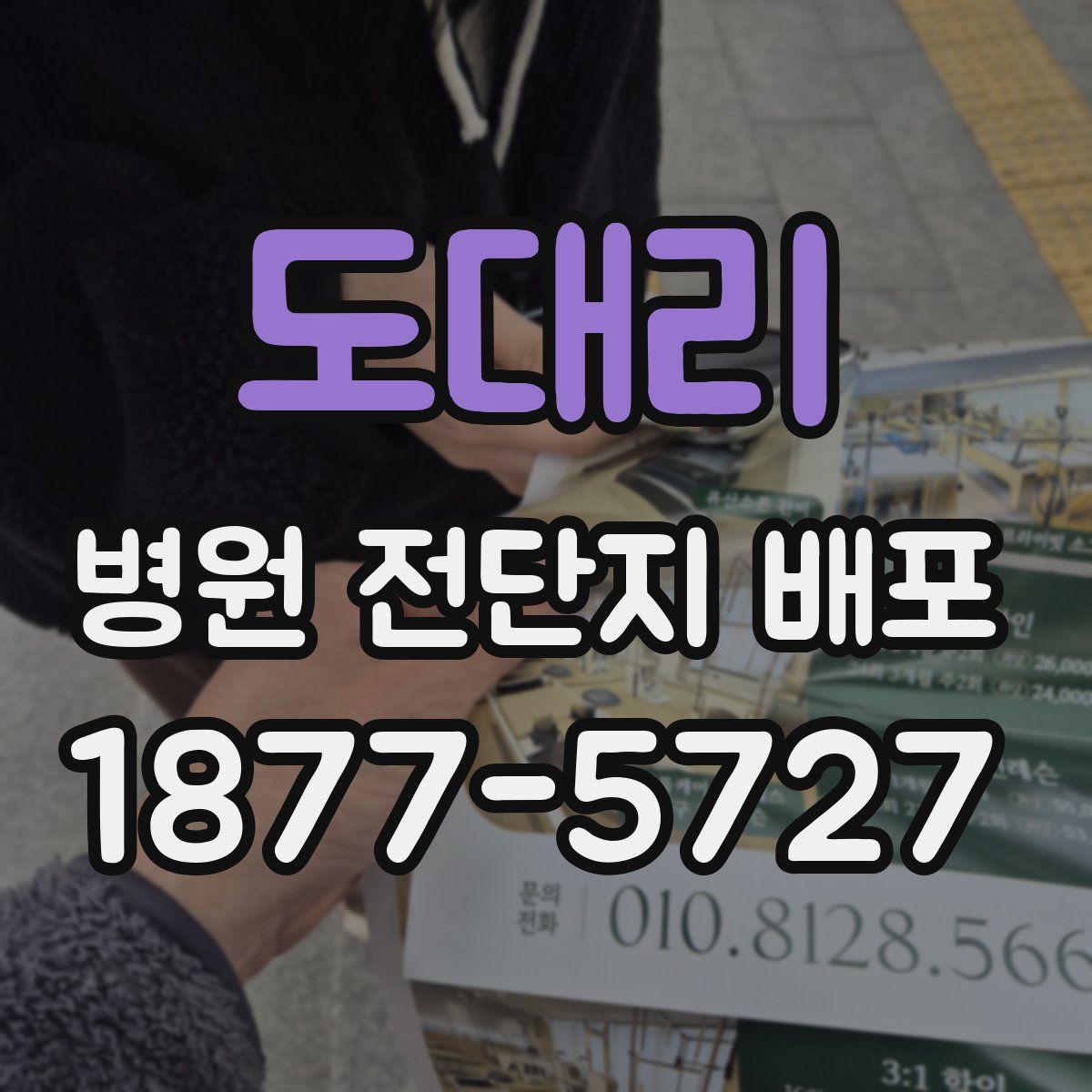 도대리 병원 전단지 배포
