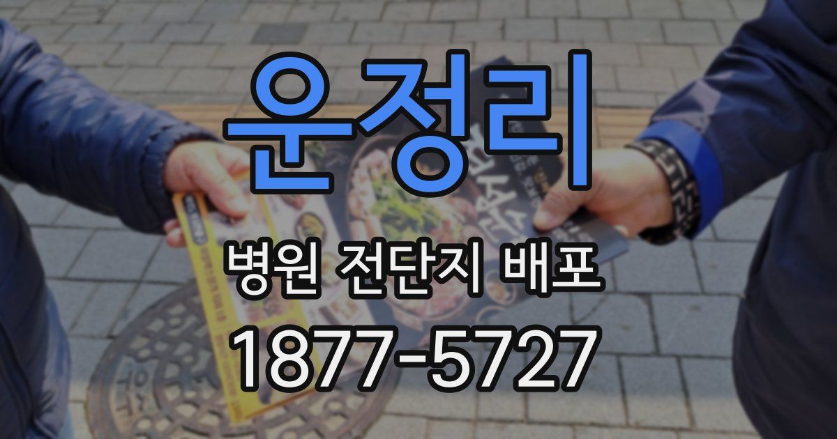 운정리 병원 전단지 배포