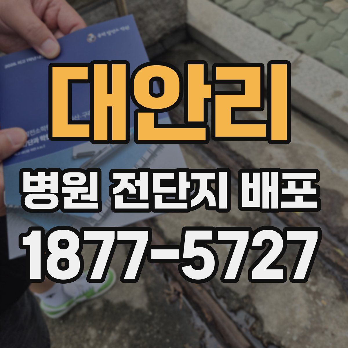 대안리 병원 전단지 배포