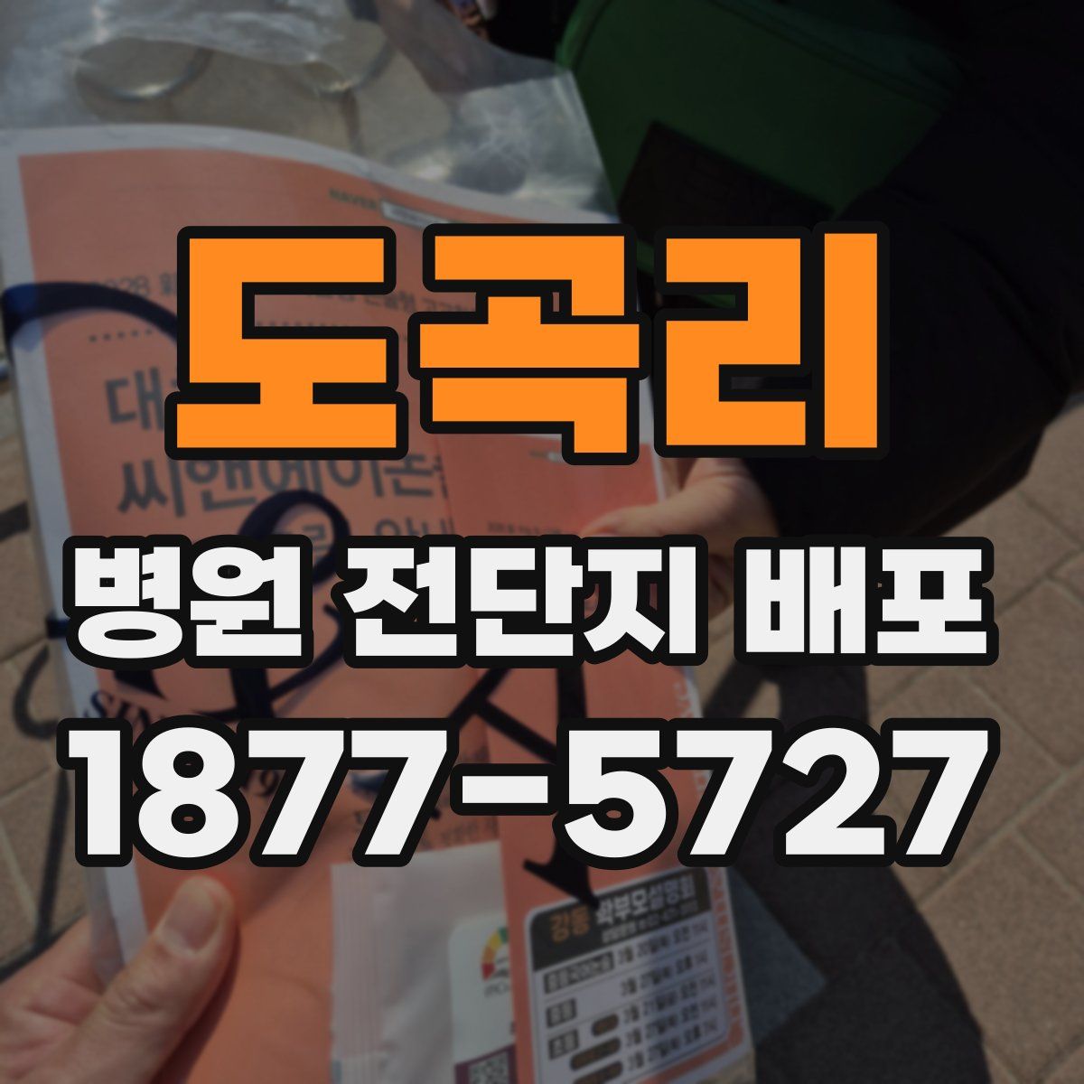 도곡리 병원 전단지 배포
