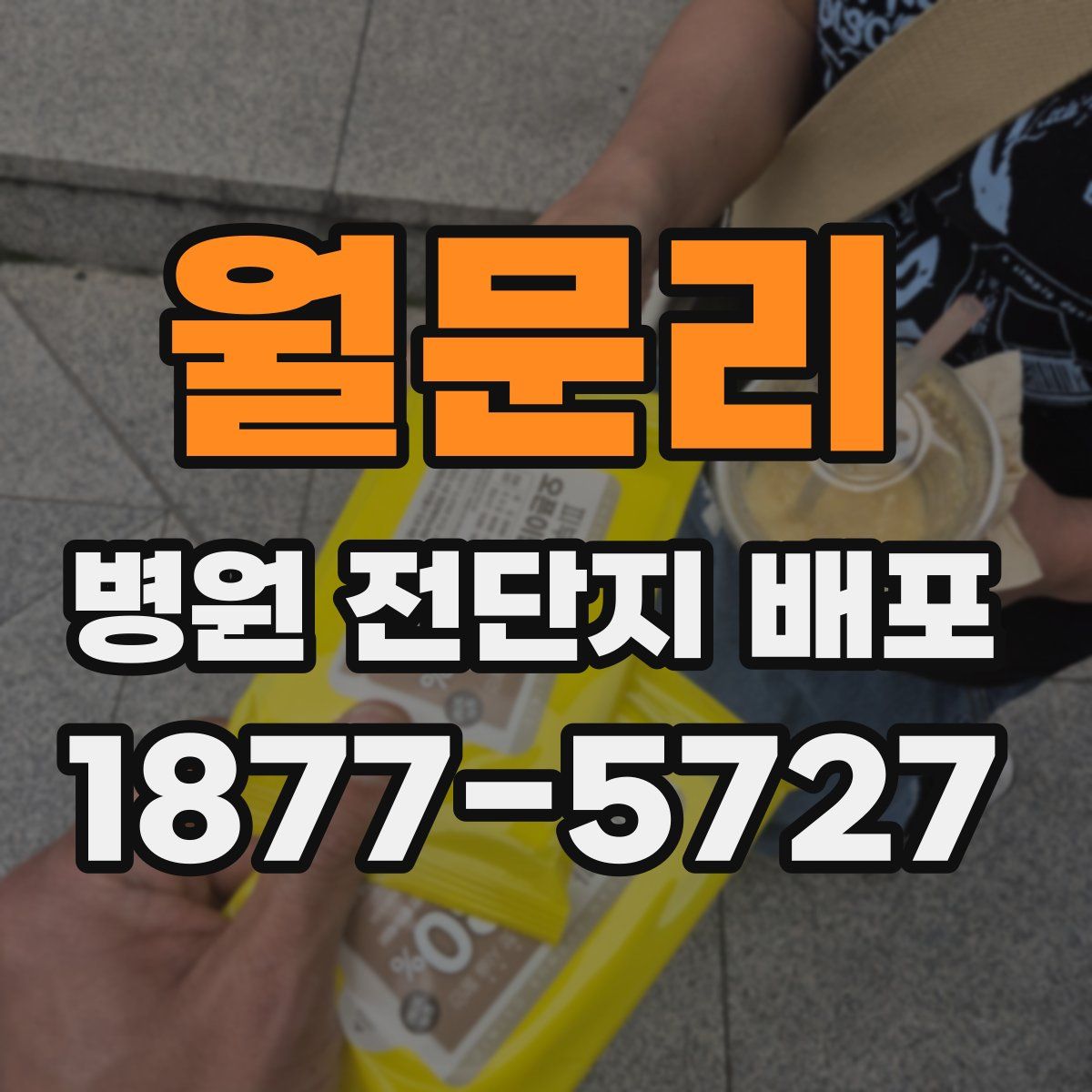 월문리 병원 전단지 배포