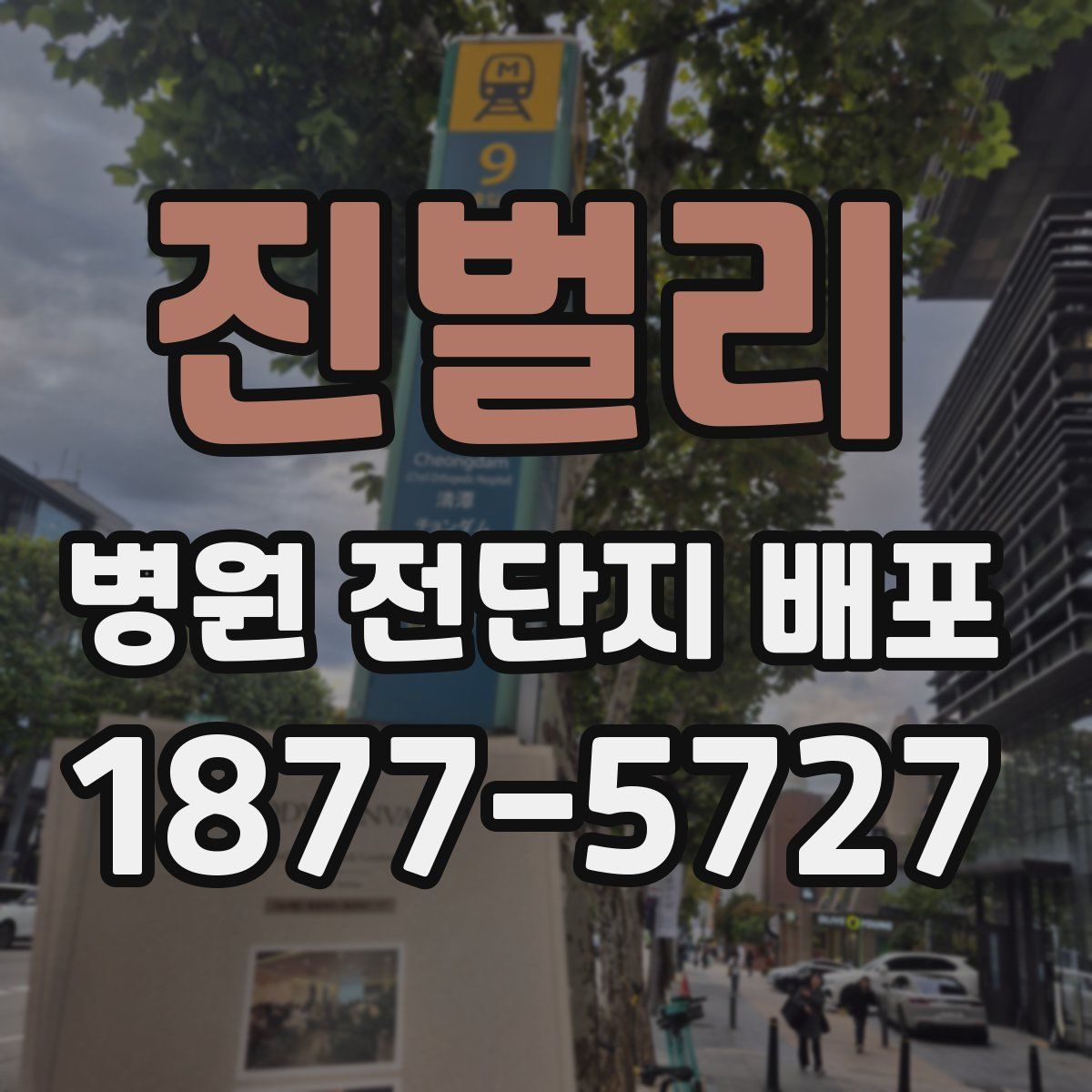 진벌리 병원 전단지 배포