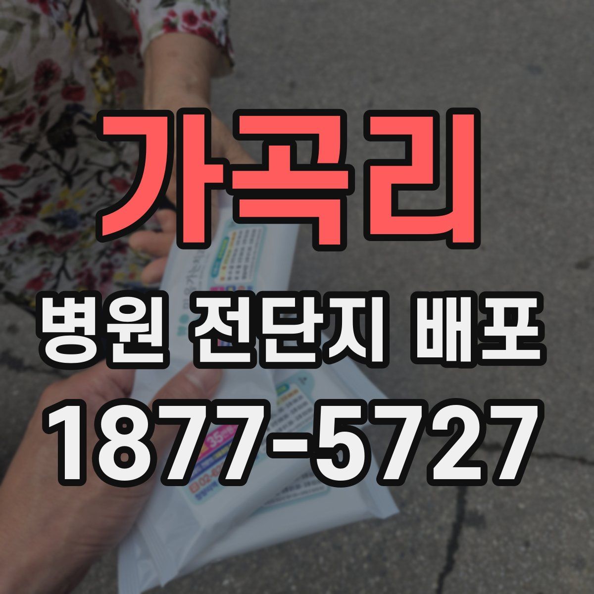 가곡리 병원 전단지 배포