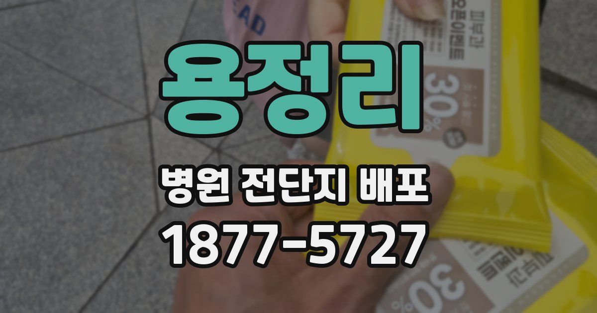 용정리 병원 전단지 배포