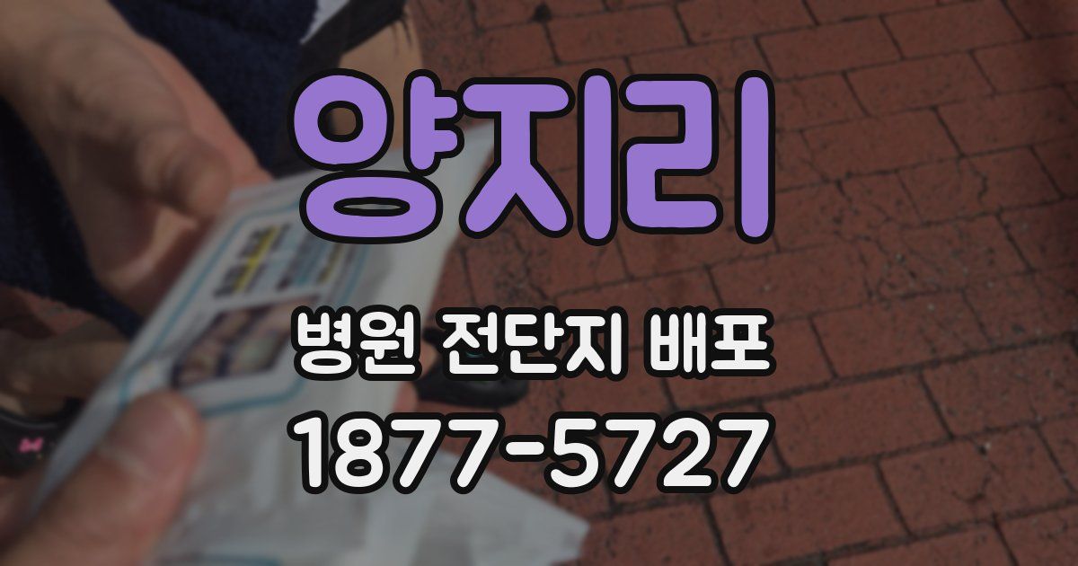 양지리 병원 전단지 배포