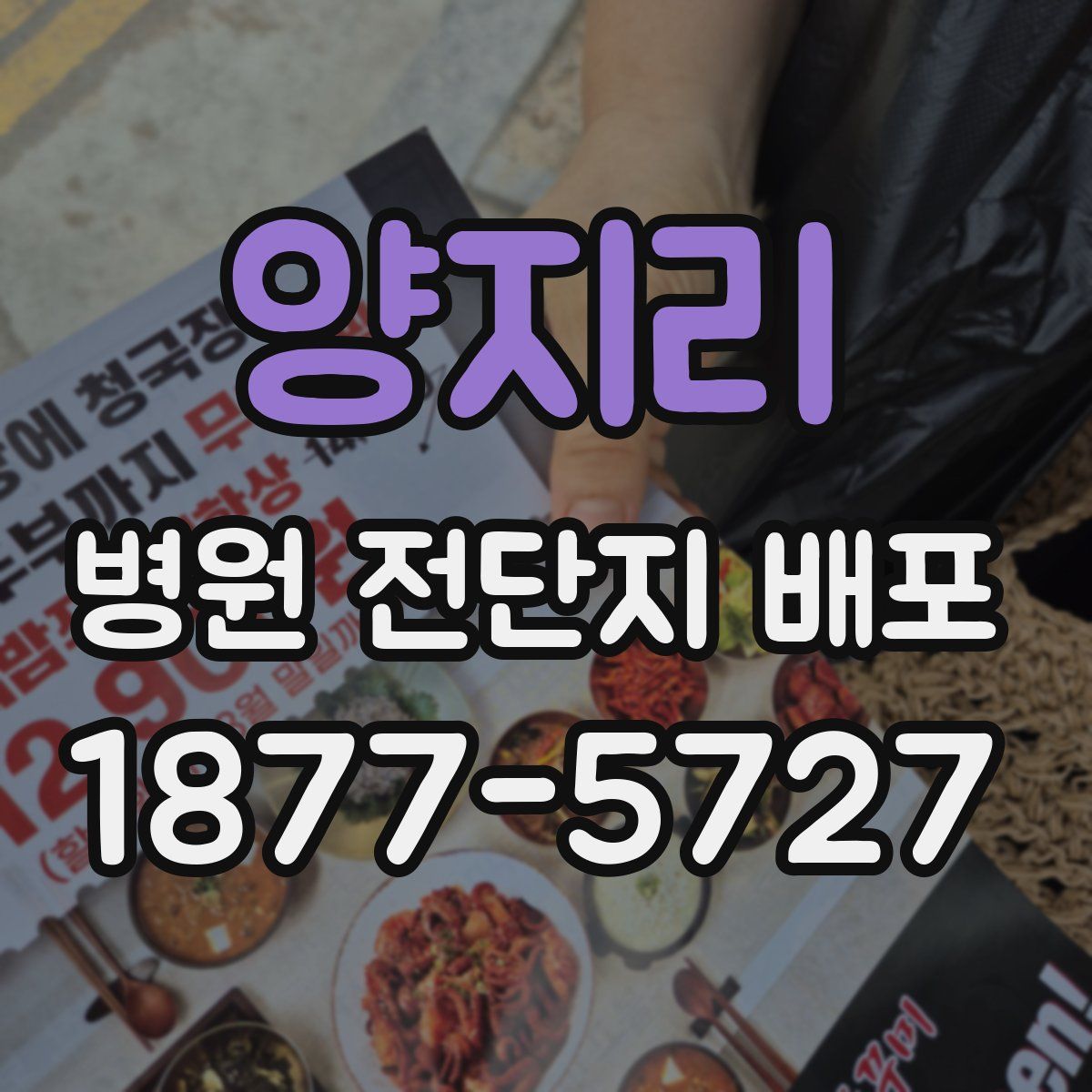양지리 병원 전단지 배포