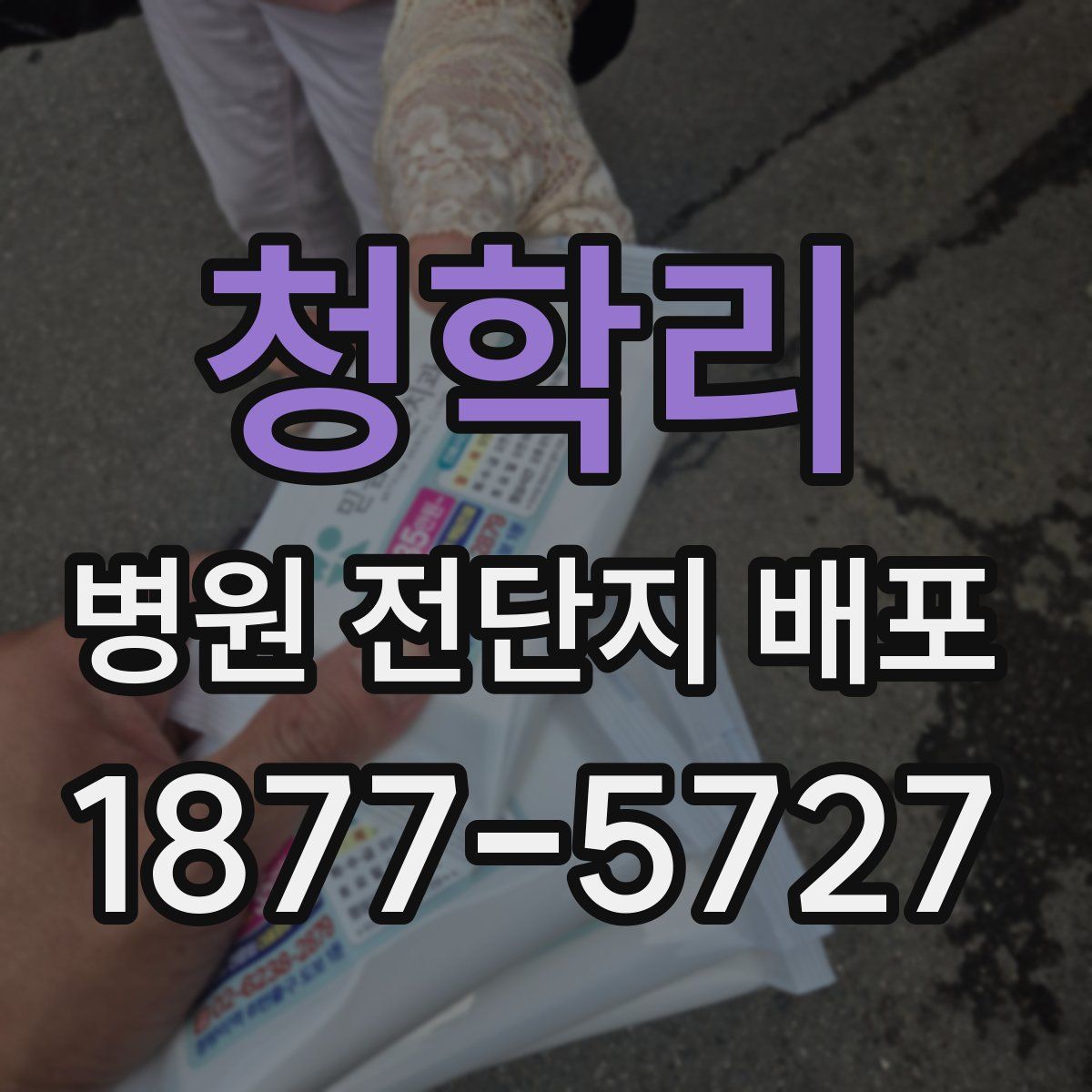 청학리 병원 전단지 배포