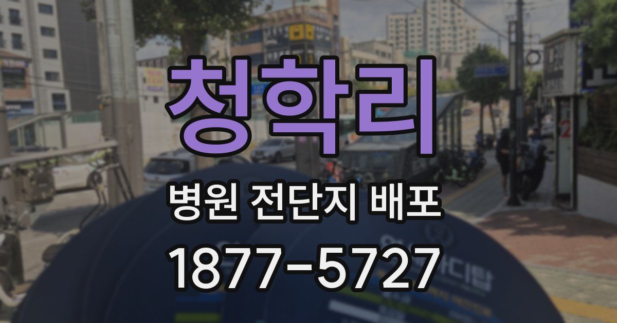 청학리 병원 전단지 배포