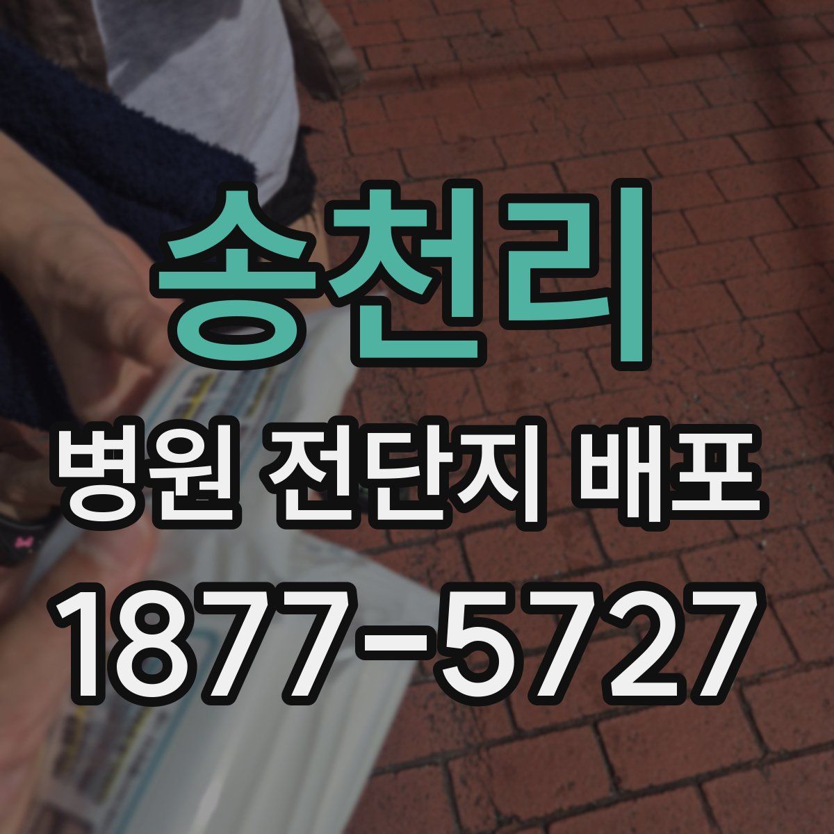 송천리 병원 전단지 배포