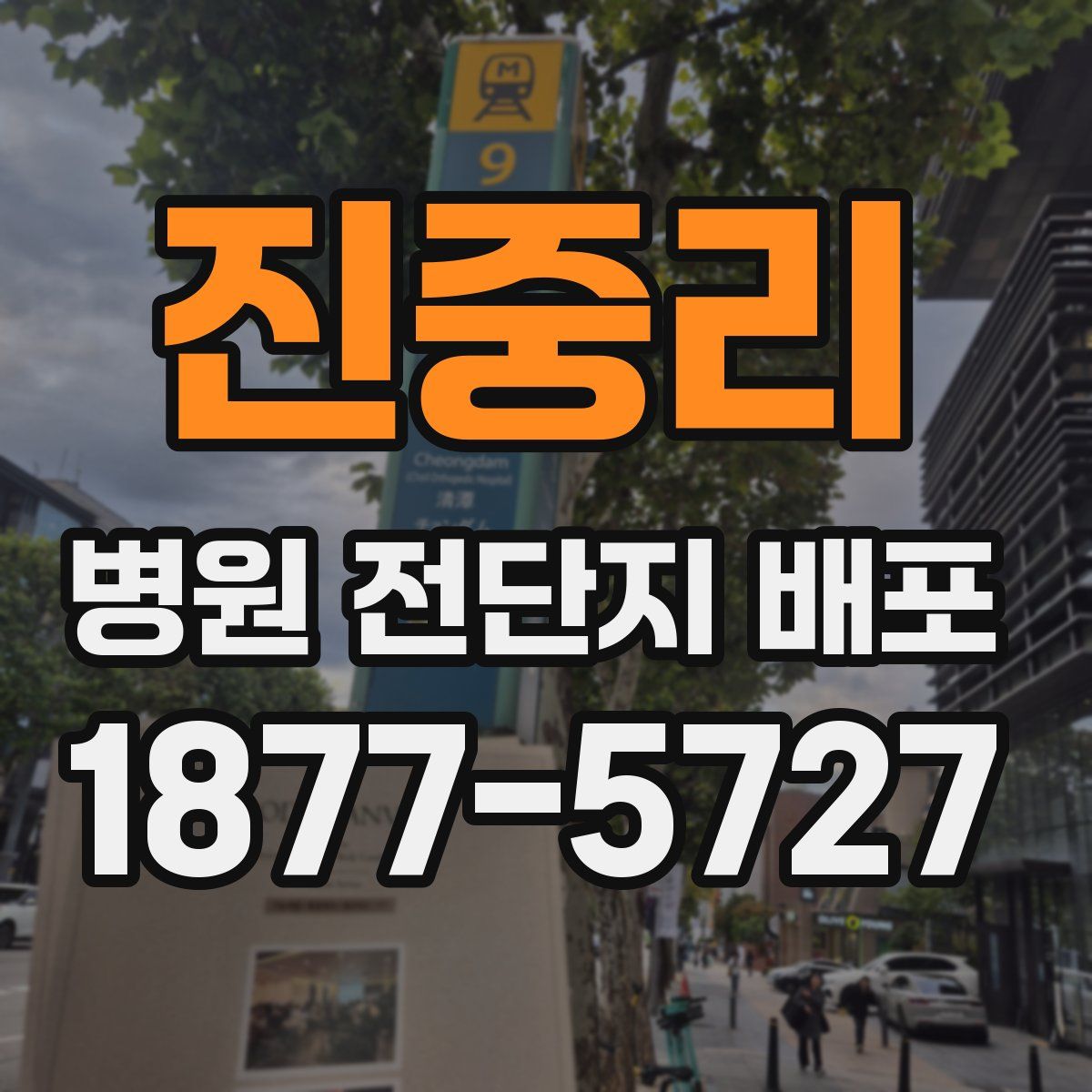 진중리 병원 전단지 배포